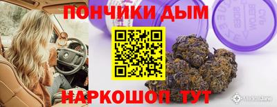 стаф Кунгур