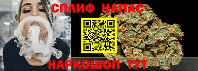 стаф Кунгур