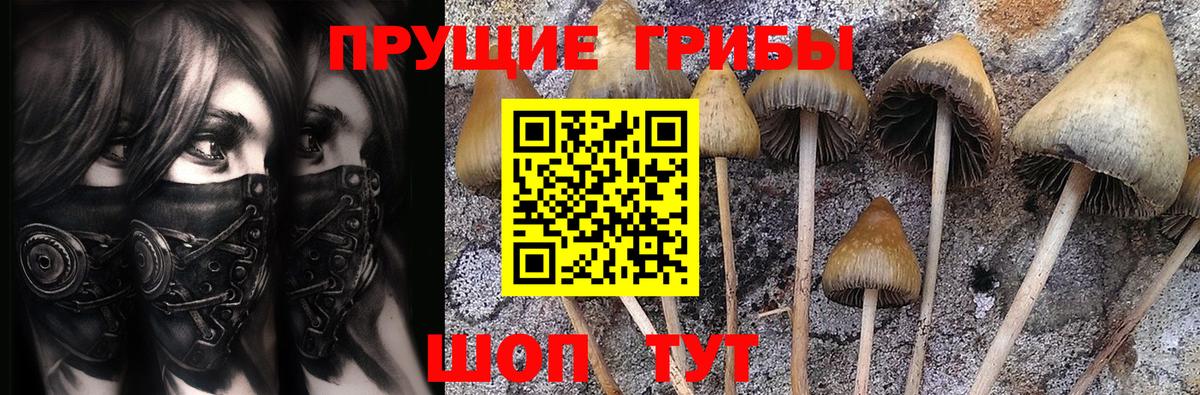 Псилоцибиновые грибы MAGIC MUSHROOMS  Вход с VPN  Каменск-Уральский 